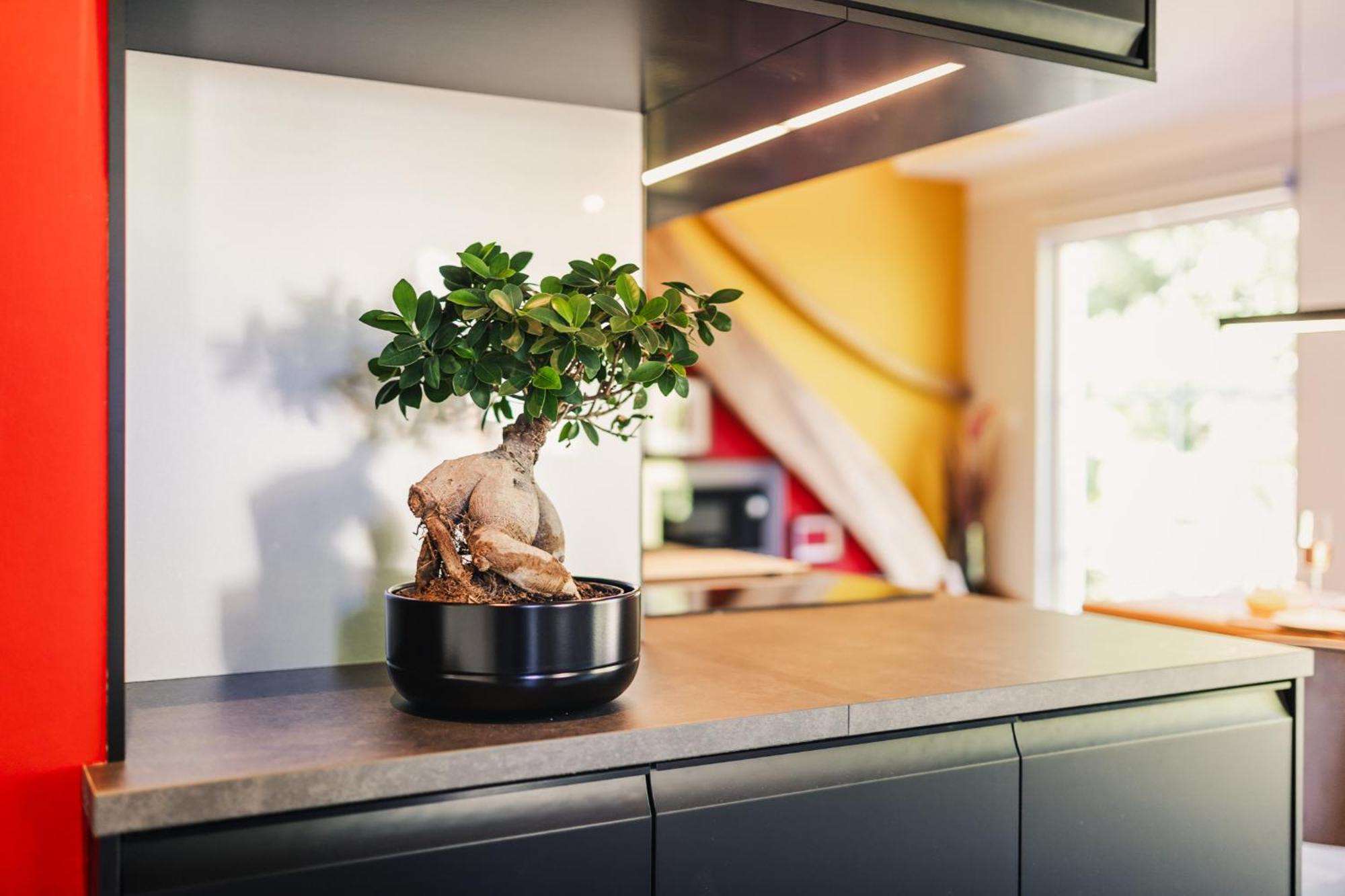Ferienwohnung "Steernkieker" - Ankommen Und Entspannen Klausdorf  Bagian luar foto